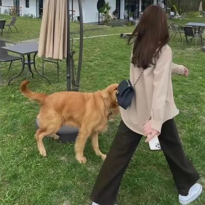 天生失败者海报